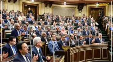 تطور غير مسبوق.. إيرادات الضريبة على القيمة المضافة خلال 5 سنوات تكشف أرقامًا اقتصادية مؤثرة 1